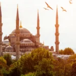 Etkili Sosyal Medya Yönetimi – Markanızı Dijitalde Nasıl Yükseltirsiniz?